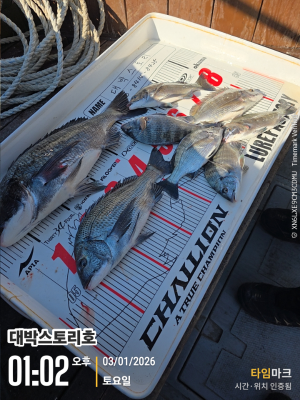 2026-01-03 01.02.47__(대박스토리호).jpg