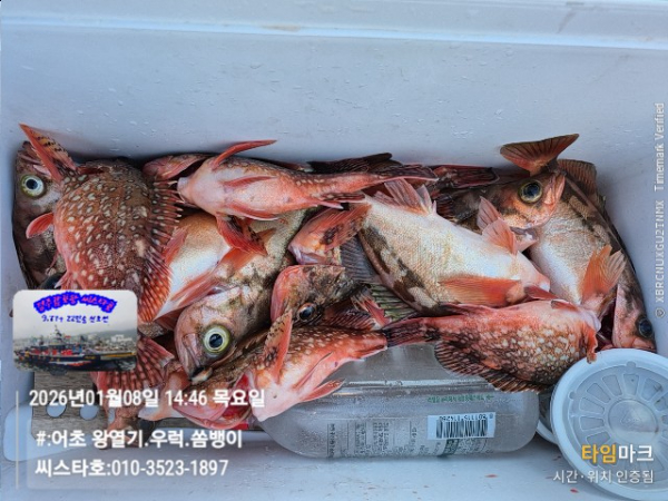 2026-01-08 14.46.39__(#-어초 왕열기.우럭.쏨뱅이)_(씨스타호-010-3523-1897).jpg