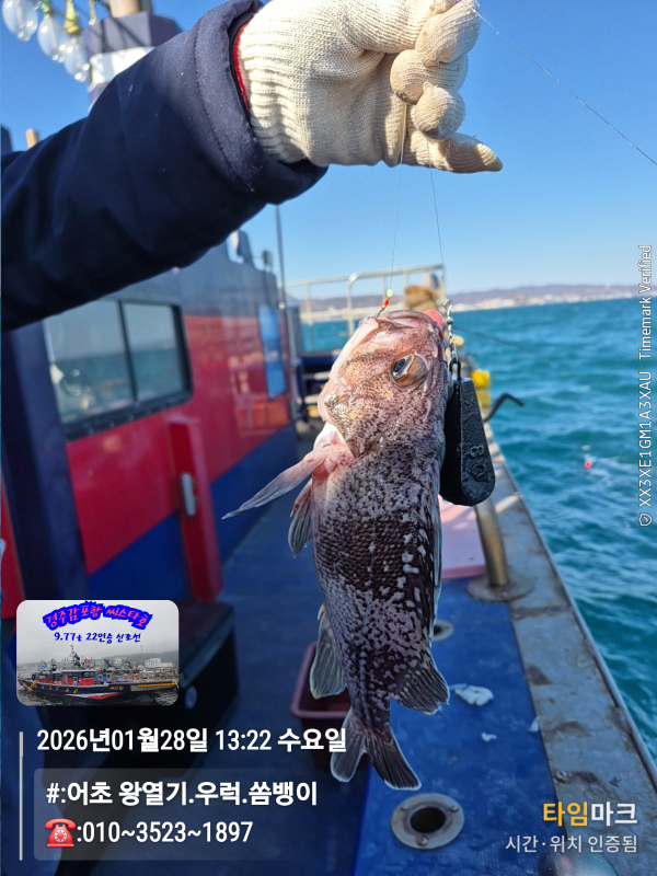 2026-01-28 13.22.53__(#-어초 왕열기.우럭.쏨뱅이)_(-010~3523~1897).jpg