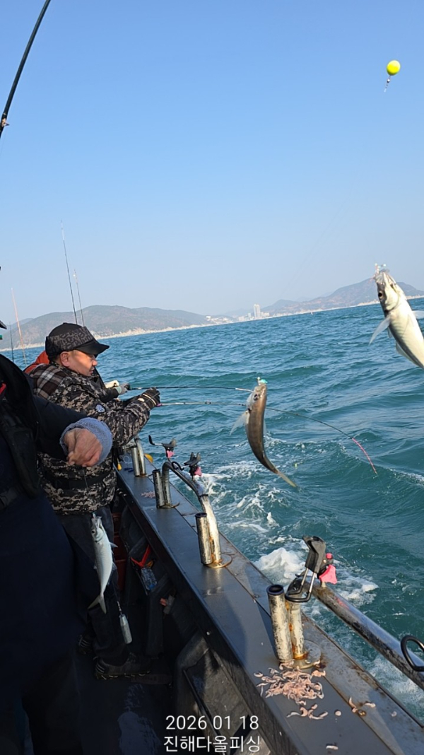 ☆진해 다올피싱☆문어 갈치 선상 낚시_사진_20260119_9.jpg