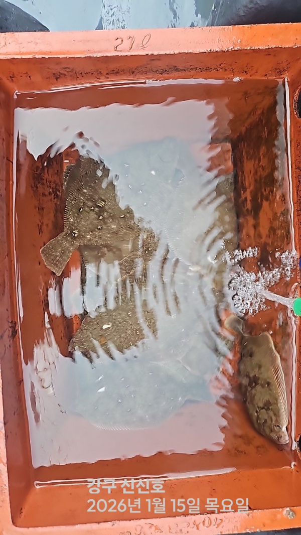 신신낚시 강구점 신신호_사진_20260115_5.jpg