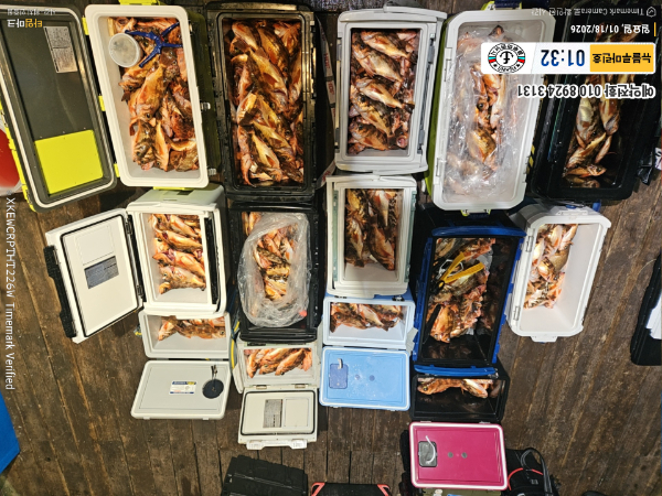 2026-01-18 01.32.46__(제목-뉴블루마린호)_(예약전화 010 8924 3131).jpg