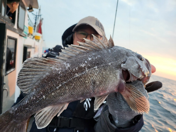 군산 선상낚시, 바다낚시 출조 전문 ☆서군산낚시☆_사진_20260118_6.jpg