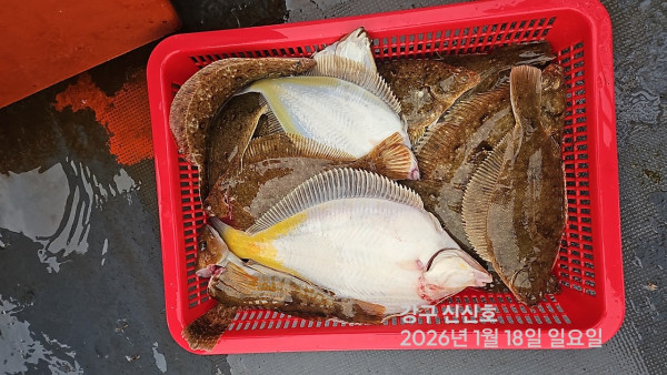 신신낚시 강구점 신신호_사진_20260118_2.jpg