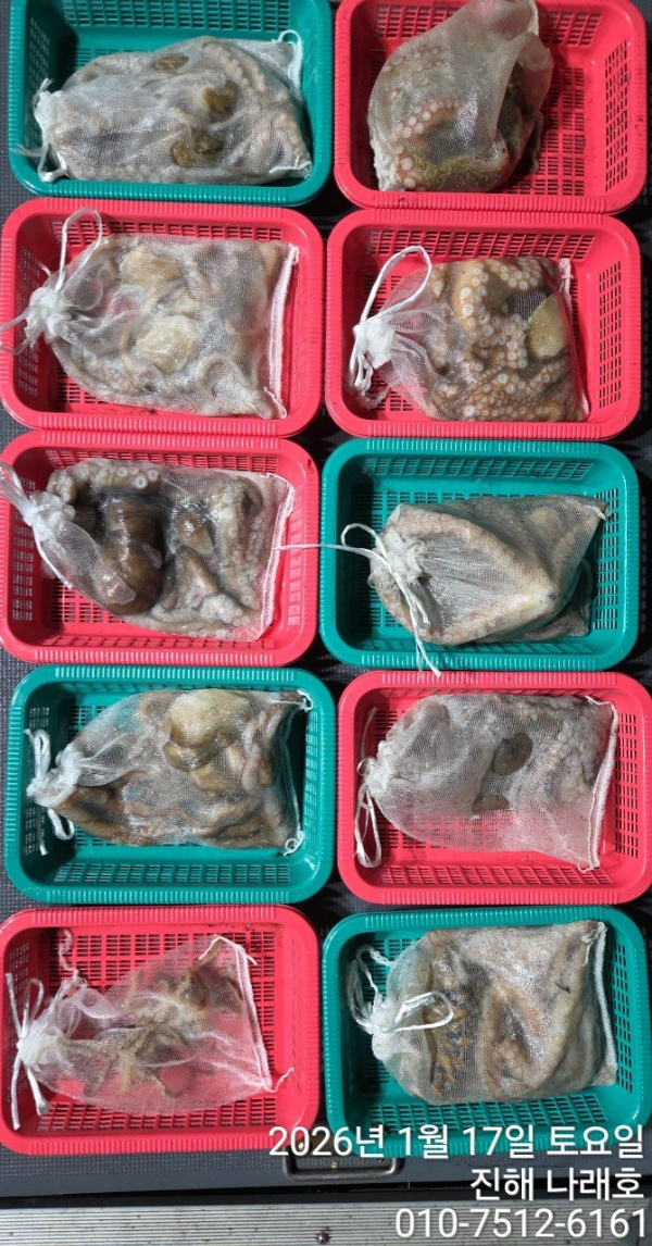 진해 나래호(문어,낙지,갈치)_사진_20260117_14.jpg