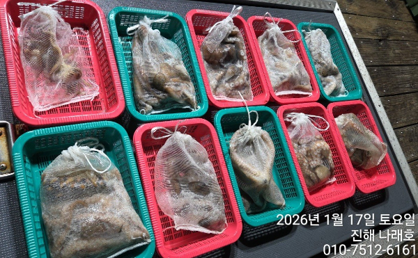 진해 나래호(문어,낙지,갈치)_사진_20260117_13.jpg