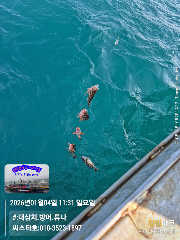 2026-01-04 11.31.15__(#-대삼치.방어.튜나)_(씨스타호-010-3523-1897).jpg