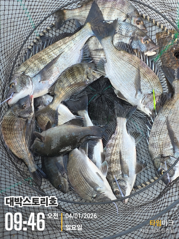 2026-01-04 09.46.34__(대박스토리호).jpg