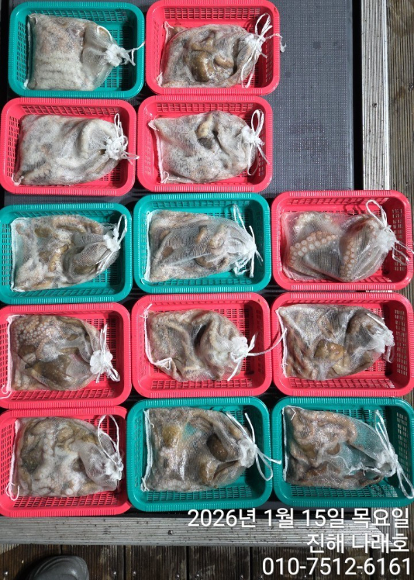 진해 나래호(문어,낙지,갈치)_사진_20260115_17.jpg