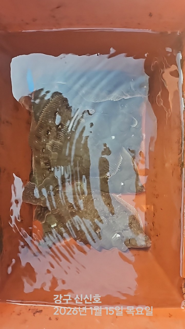 신신낚시 강구점 신신호_사진_20260115_4.jpg