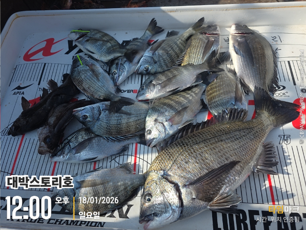 2026-01-18 12.00.49__(대박스토리호).jpg