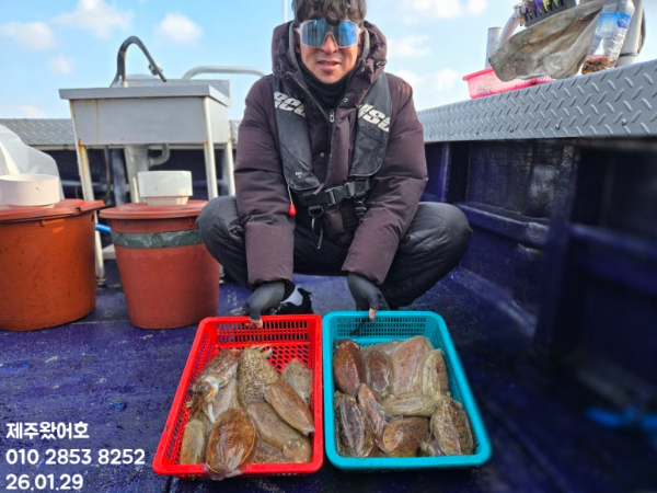 제주왔어호_사진_20260129_1.jpeg