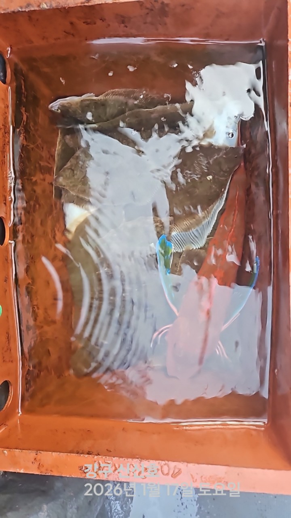 신신낚시 강구점 신신호_사진_20260117_4.jpg