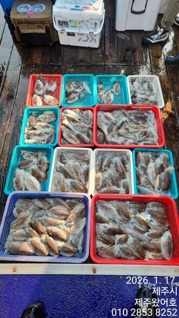 제주왔어호_사진_20260117_2.jpg