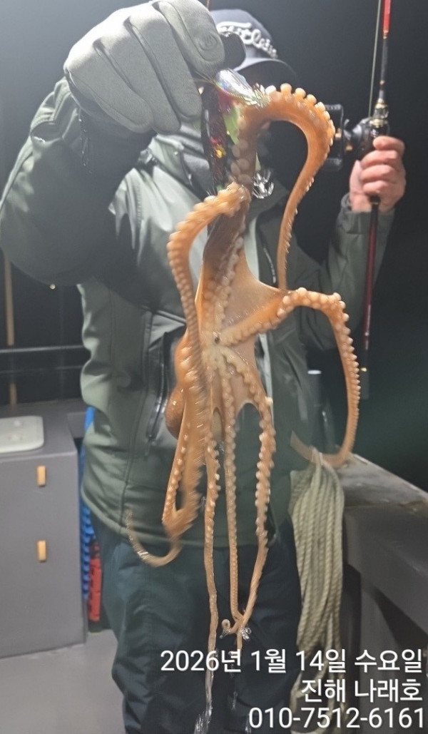 진해 나래호(문어,낙지,갈치)_사진_20260115_4.jpg