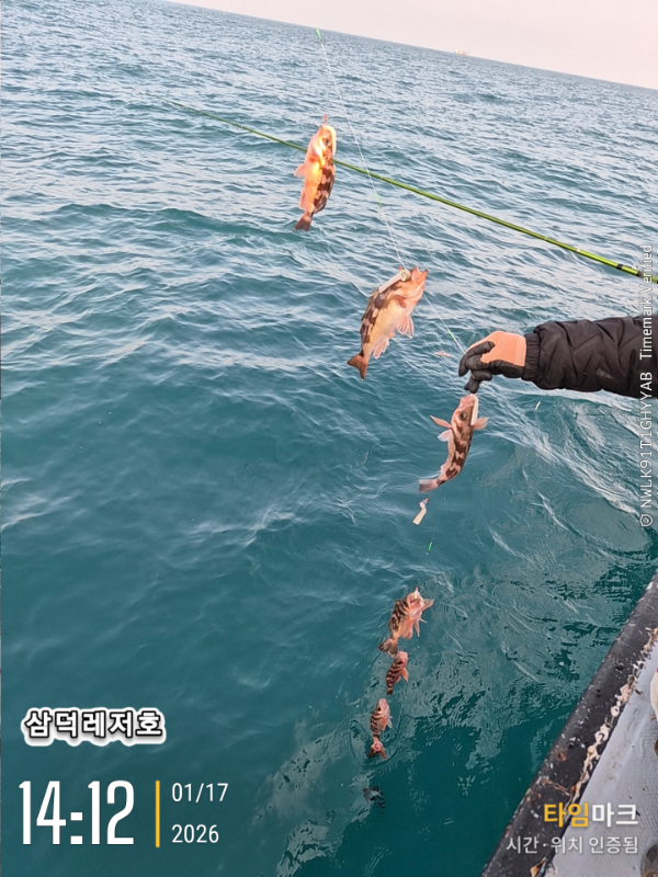 2026-01-17 14.12.46_.jpg