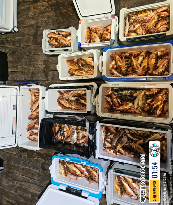 2026-01-17 01.54.53_대한민국_(제목-뉴블루마린호)_(예약전화 010 8924 3131).jpg