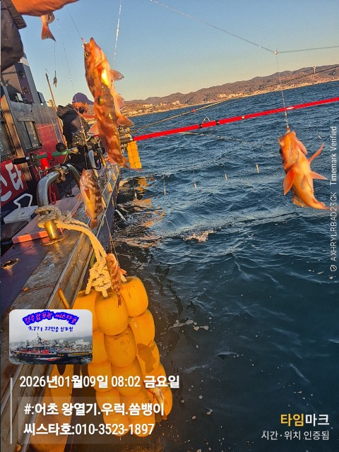 2026-01-09 08.02.47__(#-어초 왕열기.우럭.쏨뱅이)_(씨스타호-010-3523-1897).jpg