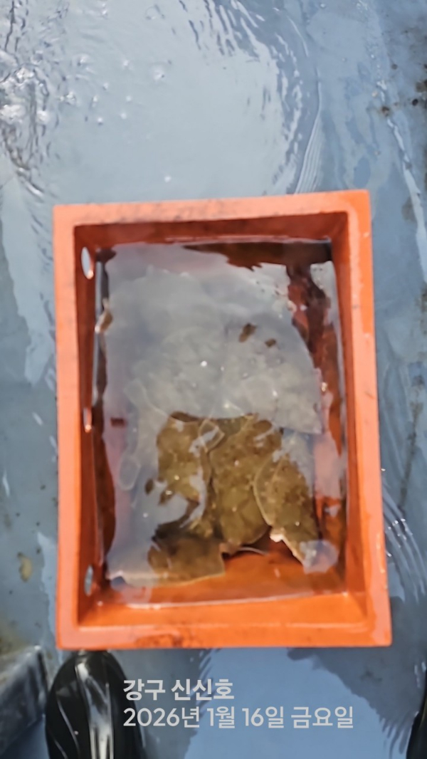 신신낚시 강구점 신신호_사진_20260116_5.jpg