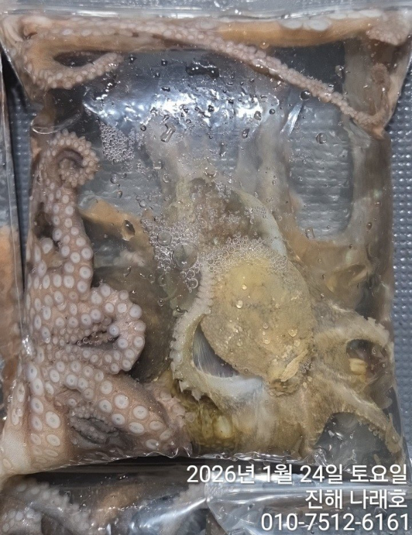 진해 나래호(문어,낙지,갈치)_사진_20260124_9.jpg