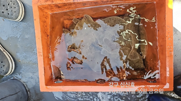 신신낚시 강구점 신신호_사진_20260116_3.jpg