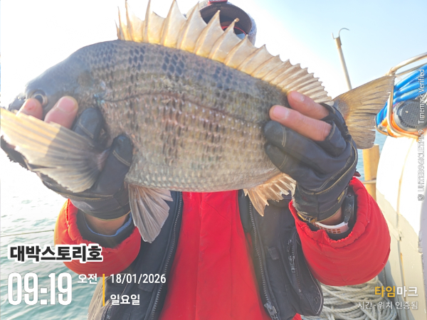 2026-01-18 09.19.57__(대박스토리호).jpg