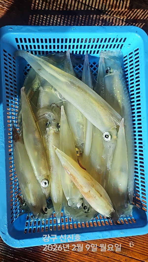 신신낚시 강구점 신신호_사진_20260210_2.jpg