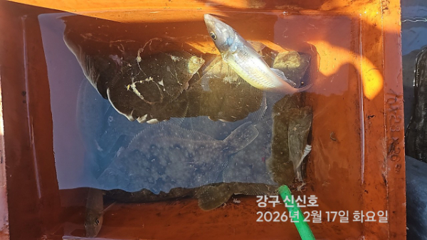 신신낚시 강구점 신신호_사진_20260217_14.jpg