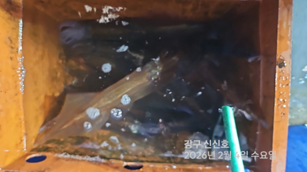 신신낚시 강구점 신신호_사진_20260205_20.jpg