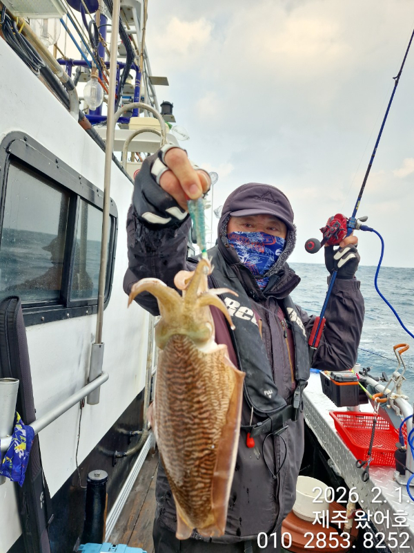 제주왔어호_사진_20260202_25.jpg