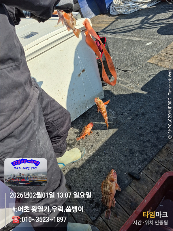 2026-02-01 13.07.26__(#-어초 왕열기.우럭.쏨뱅이)_(-010~3523~1897).jpg