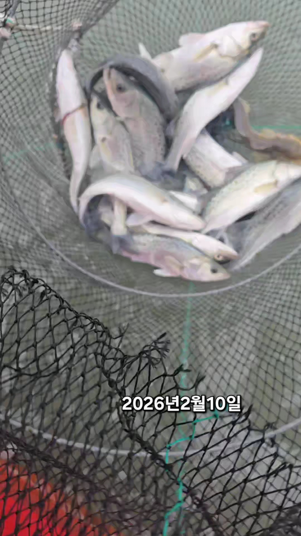 2026_02_10 12_16 (2)(3).jpg