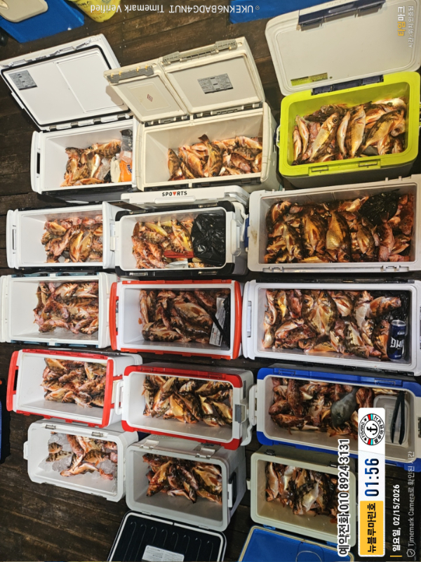 2026-02-15 01.56.13__(제목-뉴블루마린호)_(예약전화 010 8924 3131).jpg