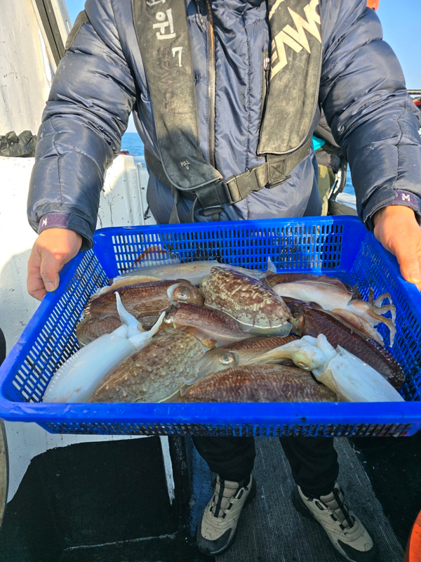 제주갈치낚시 화원호_사진_20260212_15.jpeg