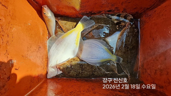 신신낚시 강구점 신신호_사진_20260218_6.jpg