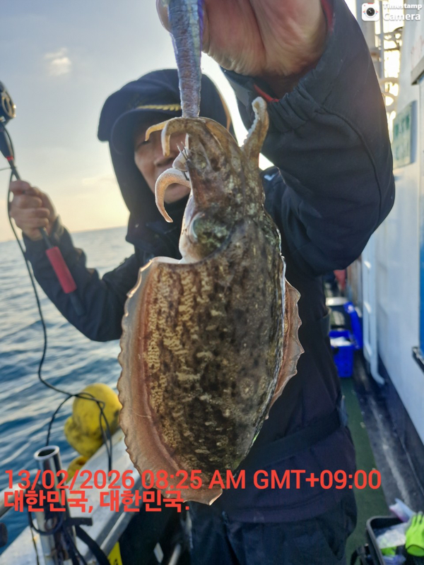 제주갈치낚시 화원호_사진_20260214_3.jpeg