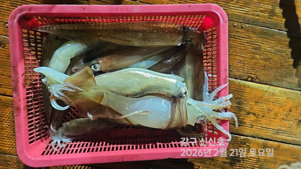 신신낚시 강구점 신신호_사진_20260222_3.jpg