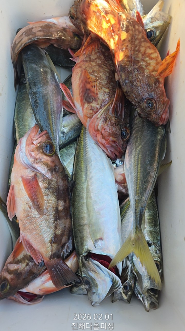 ☆진해 다올피싱☆문어 갈치 선상 낚시_사진_20260202_14.jpg