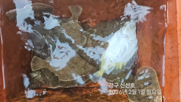 신신낚시 강구점 신신호_사진_20260201_10.jpg