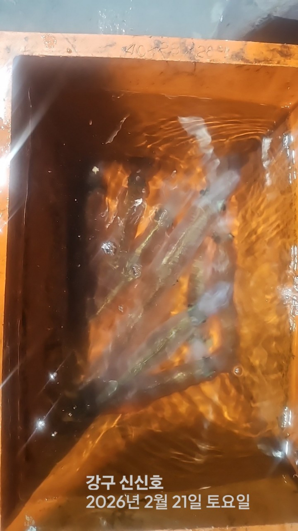 신신낚시 강구점 신신호_사진_20260222_10.jpg