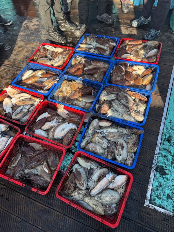 제주 쏘니호_사진_20260214_3.jpg