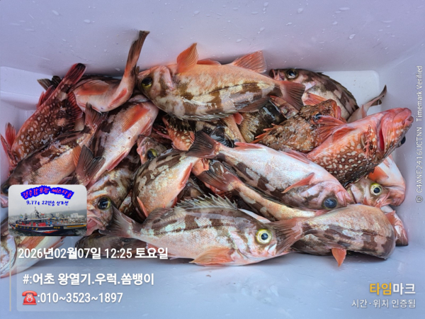 2026-02-07 12.25.48__(#-어초 왕열기.우럭.쏨뱅이)_(-010~3523~1897).jpg