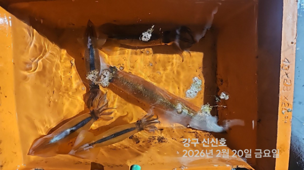 신신낚시 강구점 신신호_사진_20260221_19.jpg