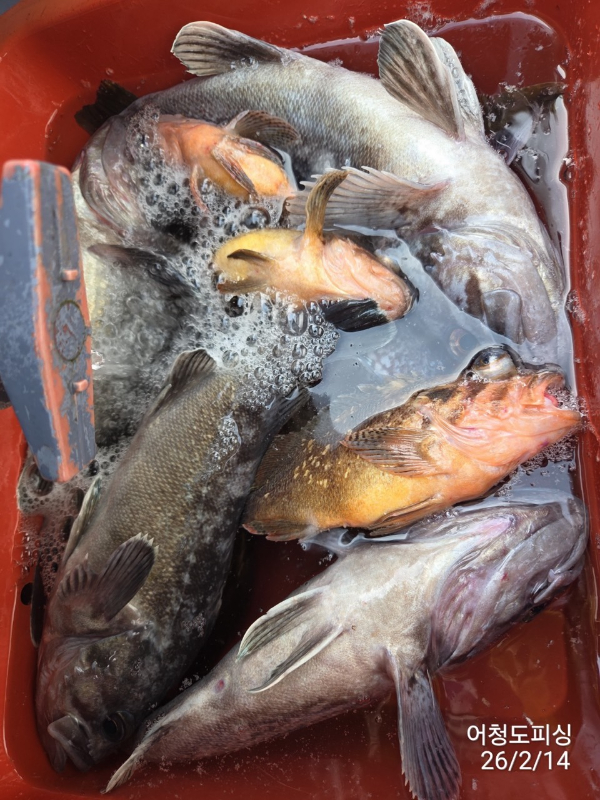 최강피싱 063.463.0800_사진_20260215_22.jpg