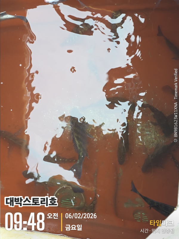 2026-02-06 09.48.00__(대박스토리호).jpg