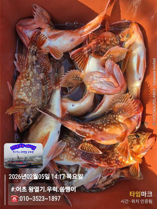 2026-02-05 14.17.29__(#-어초 왕열기.우럭.쏨뱅이)_(-010~3523~1897).jpg