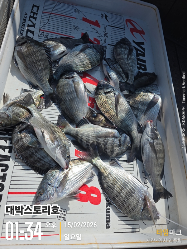 2026-02-15 01.34.55__(대박스토리호).jpg