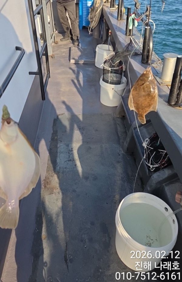나래피싱(문어,낙지,갈치,호래기,감성돔)_사진_20260212_5.jpg