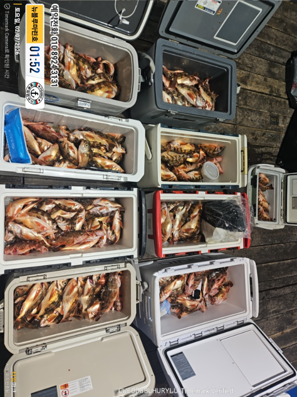 2026-02-07 01.52.14__(제목-뉴블루마린호)_(예약전화 010 8924 3131).jpg