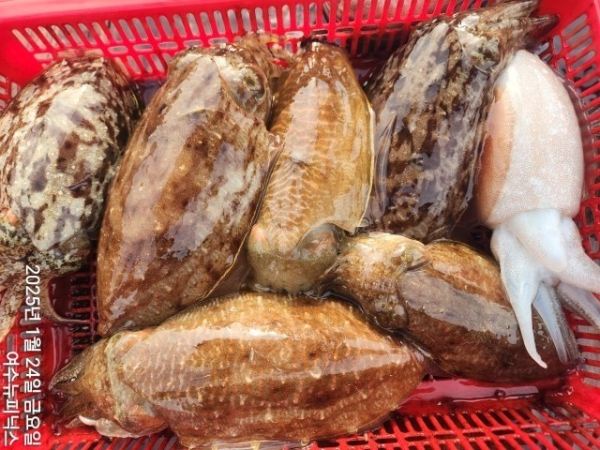 1월24일심해갑 (22)-tile.jpg